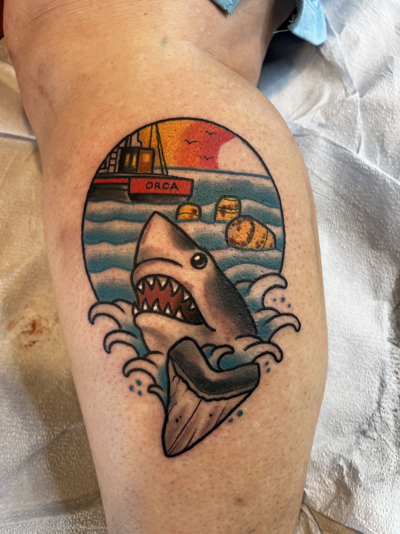 Orca