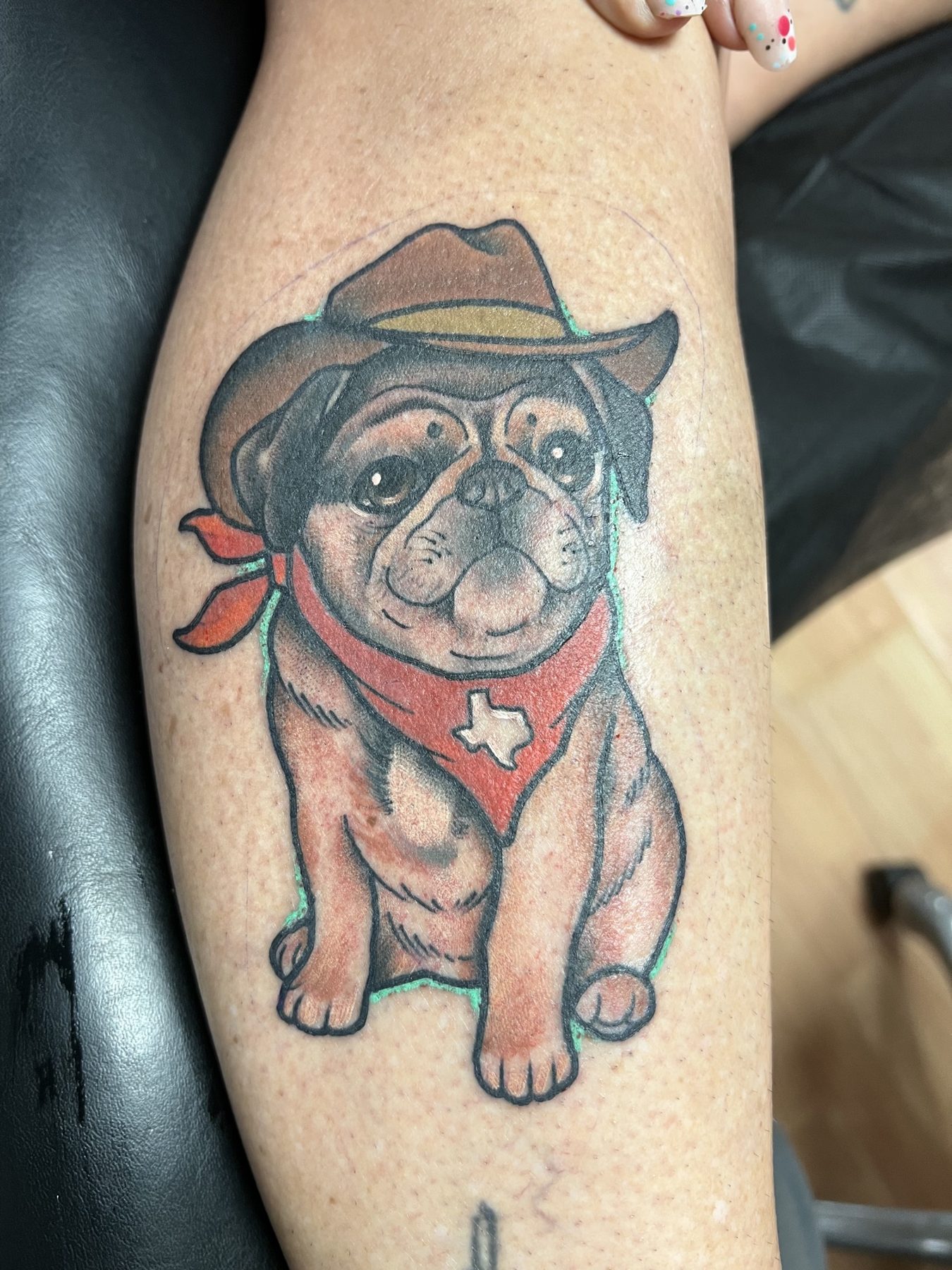 Cowboy pug