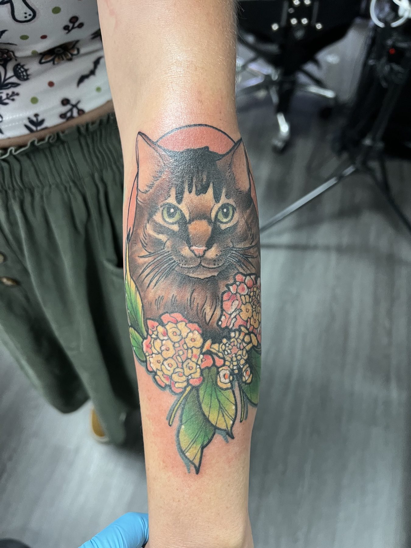 Cat and flowers