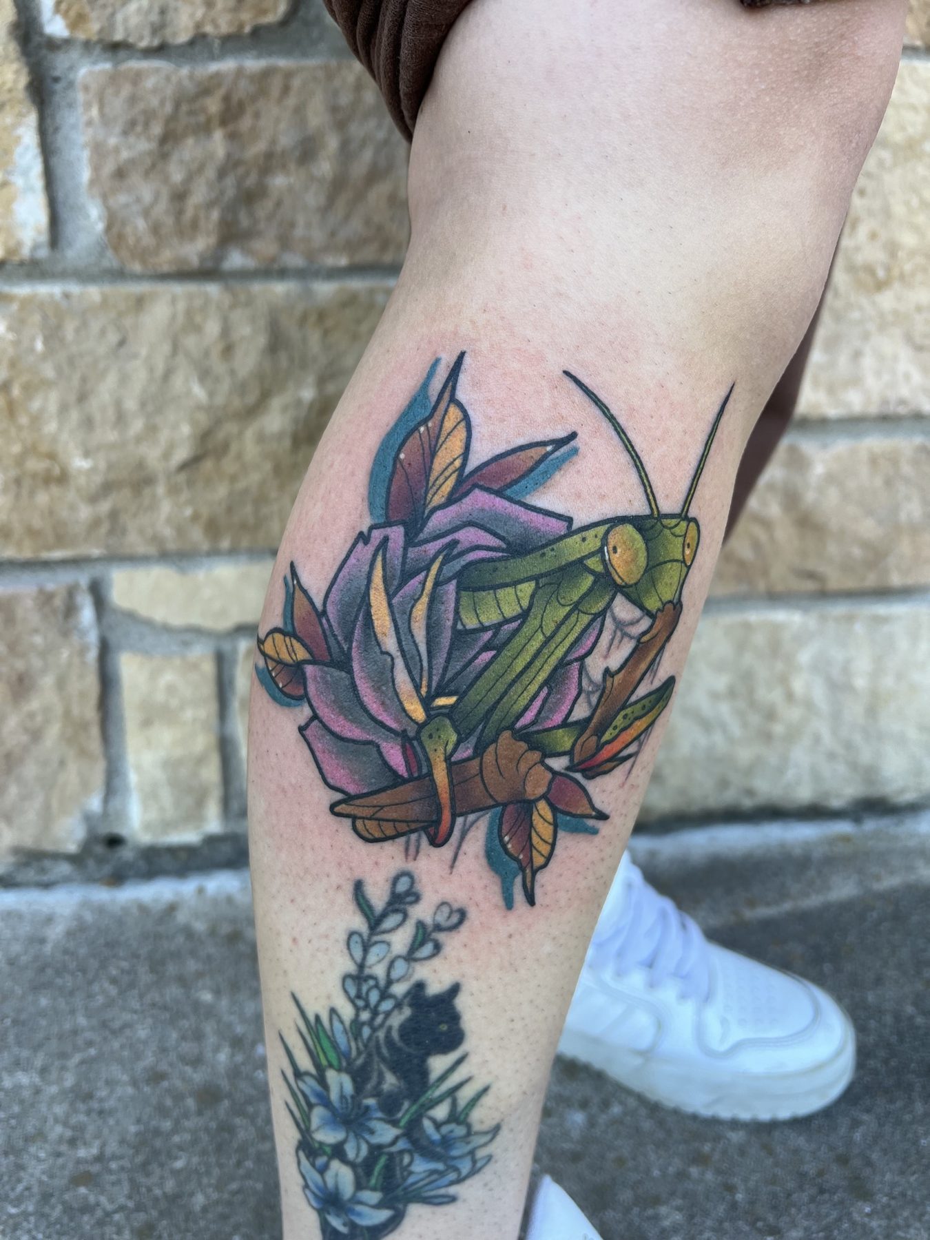Mantis