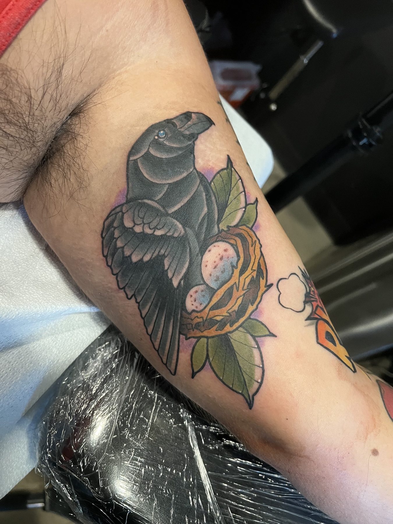 Crow