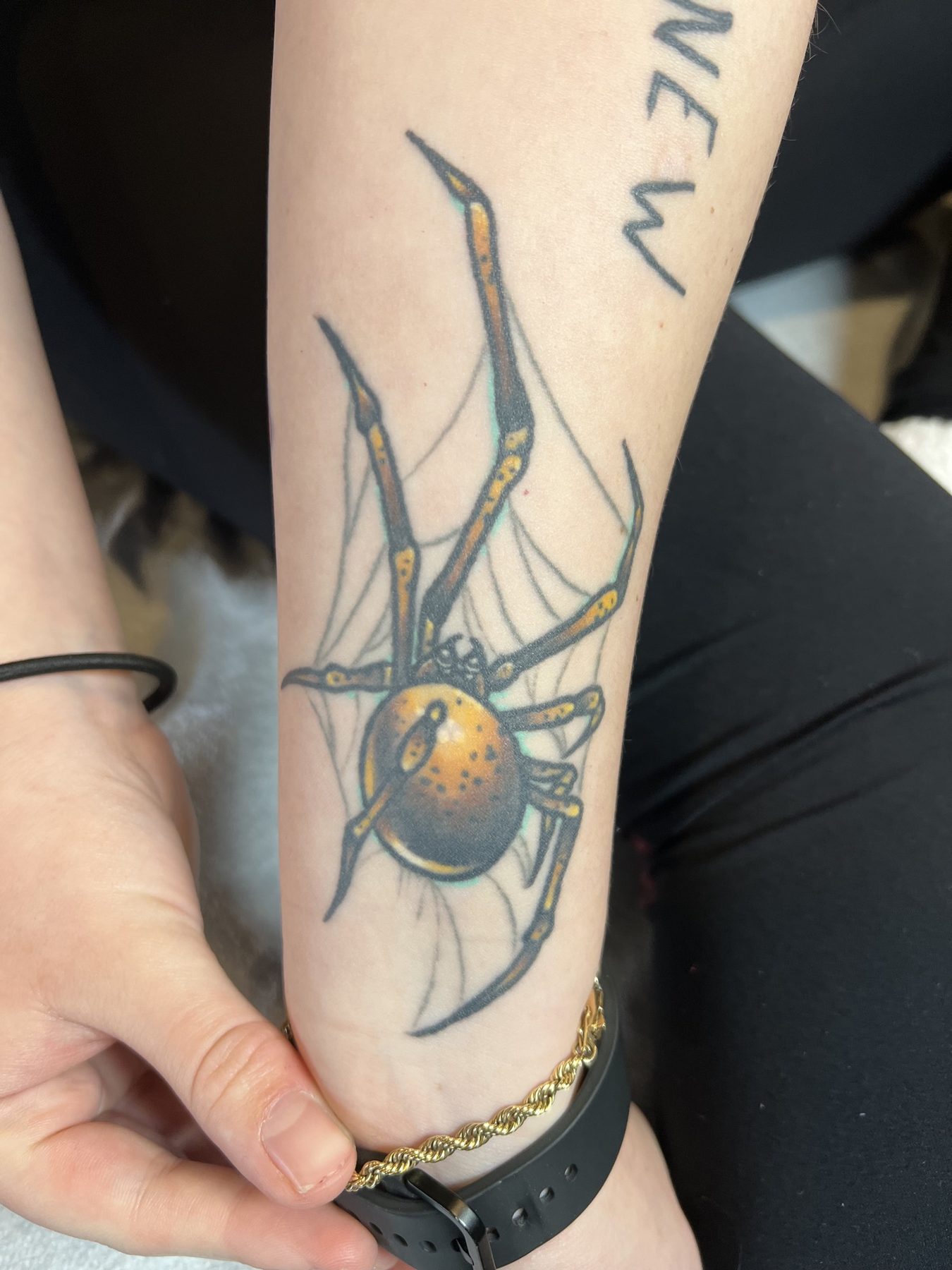 Spider
